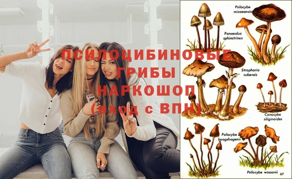 скорость Балабаново