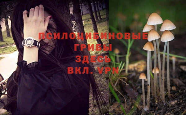 скорость Балабаново