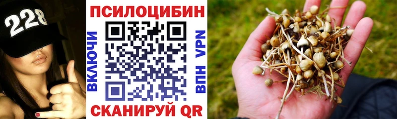 наркотики  Ворсма  Псилоцибиновые грибы мицелий 